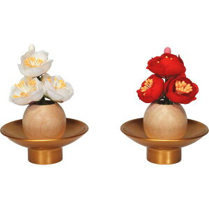 l`p 1 g~  tt Ԍ 4cm 170221