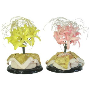 ЂȐl` Ђȓ Pi i   k Ԃ̕ 858341