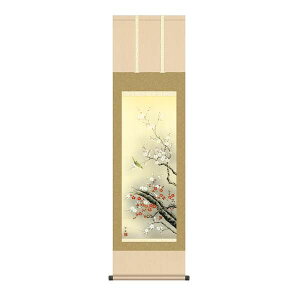 | OK 1 g~ ڎO KZ2MA2-049 c | 154771462