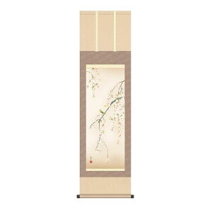 | OK 1  ڎO KZ2MA2-079  x 154771465