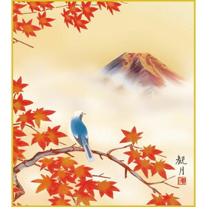 F OK 1 gtɕxm K5-013 ό FƐF 154791059