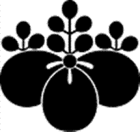 楽天市場 日向 ひゅうが 名前の通販