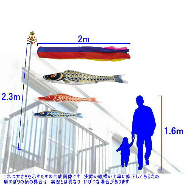 楽天市場】鯉のぼり 村上 こいのぼりセット 大空悠々 2m STホーム 
