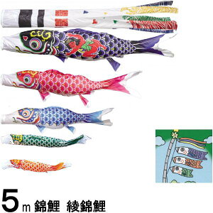 ̂ڂ ь m[} ь 5m5C Y Q璹 139600256