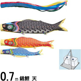 楽天市場 錦鯉 ワタナベ 0 7 ホビー の通販