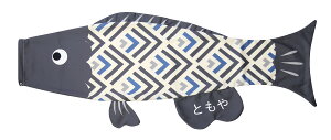 ̂ڂ PUCA ׂ邽̂ v[J 낱 ubN L 600925 146929133