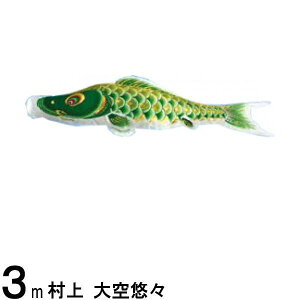 ̂ڂ  ̂ڂPi IX H Ό 3m 139624058