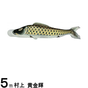 ̂ڂ  ̂ڂPi P H  5m 139624082