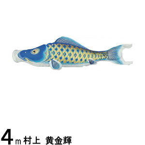 ̂ڂ  ̂ڂPi P H  4m 139624088