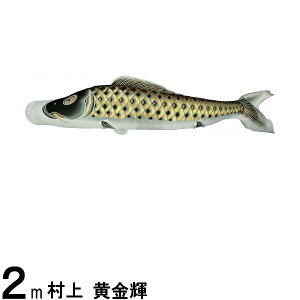 ̂ڂ  ̂ڂPi P H  2m 139624096