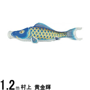 ̂ڂ  ̂ڂPi P H  1D2m 139624108