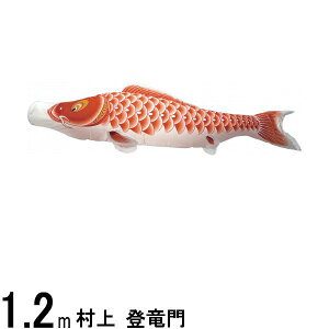 ̂ڂ  ̂ڂPi o Ԍ 1D2m 139624130