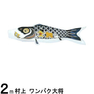 ̂ڂ  ̂ڂPi pN叫  2m 139624140