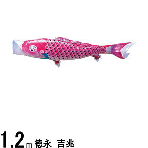 ̂ڂ i ̂ڂPi g H sN 1D2m 139594044