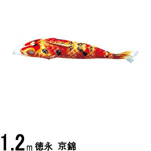 ̂ڂ i ̂ڂPi  Ԍ 1D2m 139594189