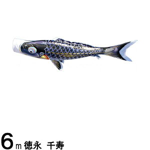 ̂ڂ i ̂ڂPi  H  6m 139594203