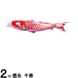 ̂ڂ i ̂ڂPi  H Ԍ 2m 139594221