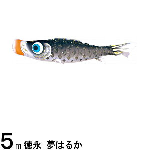 ̂ڂ i ̂ڂPi ͂邩 H  5m 139594290