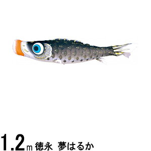 ̂ڂ i ̂ڂPi ͂邩 H  1D2m 139594311