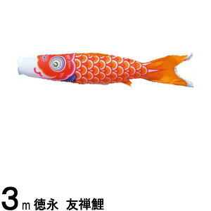 ̂ڂ i ̂ڂPi FT  3m 139594493