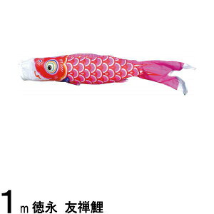 ̂ڂ i ̂ڂPi FT Ԍ 1m 139594509