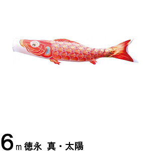 ̂ڂ i ̂ڂPi ^Ez Ԍ 6m 139594817
