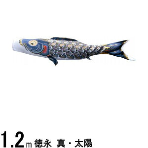 ̂ڂ i ̂ڂPi ^Ez  1D2m 139594843