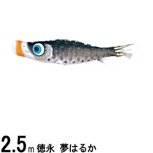 ̂ڂ i ̂ڂPi ͂邩 H  2D5m 139594859