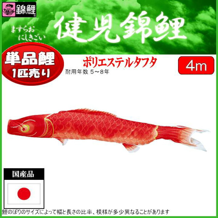 楽天市場】鯉のぼり 渡辺鯉 こいのぼり単品 健児錦鯉 赤鯉 4m 