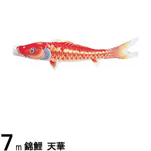 ̂ڂ nӌ ̂ڂPi V H Ԍ 7m 139617025