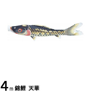 ̂ڂ nӌ ̂ڂPi V H  4m 139617033