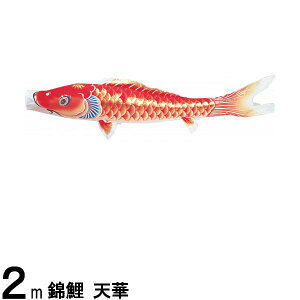 ̂ڂ nӌ ̂ڂPi V H Ԍ 2m 139617045