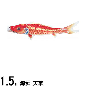 ̂ڂ nӌ ̂ڂPi V H Ԍ 1D5m 139617051