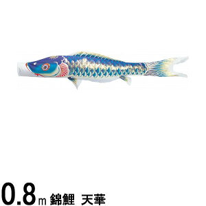 ̂ڂ nӌ ̂ڂPi V H  0D8m 139617067