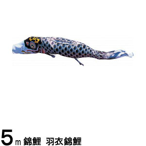 ̂ڂ nӌ ̂ڂPi Hߋь  5m 139617188