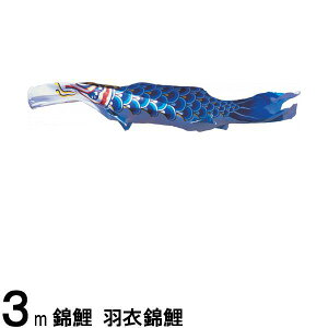 ̂ڂ nӌ ̂ڂPi Hߋь  3m 139617199