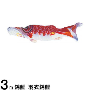 ̂ڂ nӌ ̂ڂPi Hߋь  3m 139617201