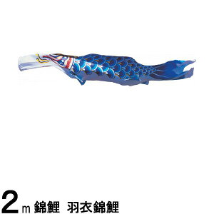 ̂ڂ nӌ ̂ڂPi Hߋь  2m 139617204