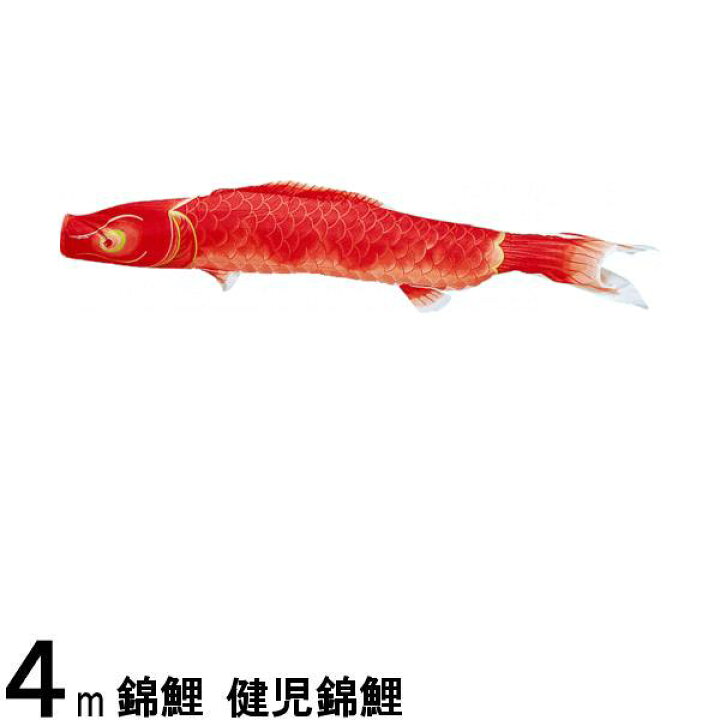 楽天市場】鯉のぼり 渡辺鯉 こいのぼり単品 健児錦鯉 赤鯉 4m 