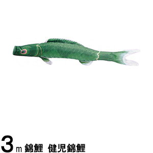 ̂ڂ nӌ ̂ڂPi ь Ό 3m 139617230