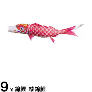 ̂ڂ nӌ ̂ڂPi ь Ԍ 9m 139617290