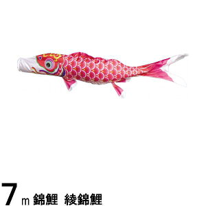 ̂ڂ nӌ ̂ڂPi ь Ԍ 7m 139617296