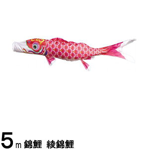 ̂ڂ nӌ ̂ڂPi ь Ԍ 5m 139617303