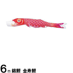 ̂ڂ nӌ ̂ڂPi  Ԍ 6m 139617334