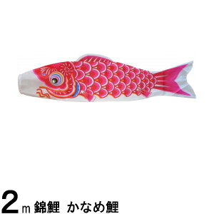 ̂ڂ nӌ ̂ڂPi Ȃߌ Ԍ 2m 139617403