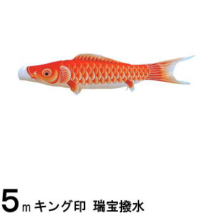 ̂ڂ R{ ̂ڂPi  Ԍ 5m 139761199