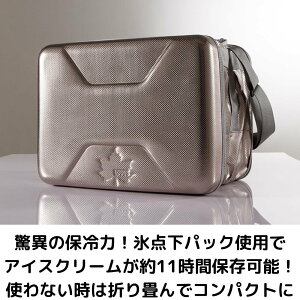 ��GW����N�[�|�����聚�N�[���[�{�b�N�X �ۗ� 20L �n�C�p�[�X�_���N�[���[L 81670080 �܂肽���� �A�E�g�h�A �L�����v