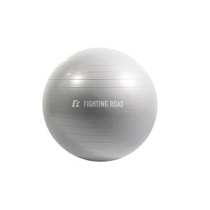 ★900円OFFクーポンあり★ ファイティングロード Co.Ltd ジムボール45cm FR23CMS0047 GRY 【FIGHTINGROAD Co., Ltd.】