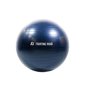 900~OFFN[|聚 t@CeBO[h Co.Ltd/W{[ 55cm FR23CMS0048 NVY yFIGHTINGROAD Co., Ltd.z