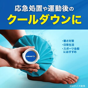 X[p[Z[2000~OFFN[|聚 XX X̂ ACXobN STCY u[ Z0401S